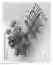 Fig. 90 - Core Drilling Components and Methods