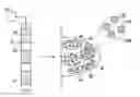 Fig. 01 - COMPOUND CLUSTER PLACEMENT IN FRACTURES