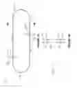 Fig. 02 - Apparatus for extracting power from fluid flow
