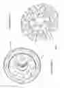 Fig. 07 - Continuously variable transmission