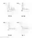 Fig. 09 - LED luminaire having a grooved modifier