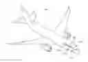 Fig. 01 - Fault isolating altitude splits