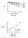 Fig. 07 - Polypeptide Immobilization