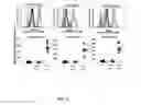 Fig. 06 - METHOD TO IDENTIFY PATIENTS THAT WILL LIKELY RESPOND TO ANTI-TNF THERAPY