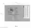 Fig. 03 - INDUCTIVE SENSING BASED ON B-H CURVE NONLINIARITY