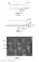 Fig. 02 - RETROREFLECTIVE SHEETING HAVING DEFORMED CUBE CORNER ELEMENTS