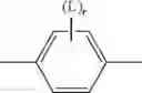 Fig. 02 - Birefringent RM lens