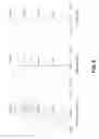 Fig. 07 - IMAGING LENS
