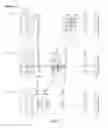 Fig. 05 - Zoom lens