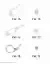 Fig. 08 - Eyeglass retention device
