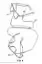 Fig. 09 - Eyeglass retention device