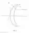 Fig. 04 - Method of manufacturing an ophthalmic lens