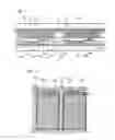 Fig. 02 - Display device and method of fabricating the same
