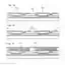Fig. 04 - Display device and method of fabricating the same