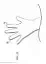 Fig. 23 - Shape recognition device, shape recognition program, and shape recognition method