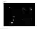 Fig. 09 - Choreography of kinetic artwork via video
