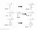 Fig. 01 - WATER-SOLUBLE MEMBRANE PROTEINS AND METHODS FOR THE PREPARATION AND USE THEREOF