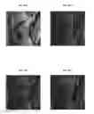 Fig. 38 - OBSCURELY RENDERING CONTENT USING MASKING TECHNIQUES