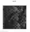 Fig. 40 - OBSCURELY RENDERING CONTENT USING MASKING TECHNIQUES