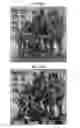 Fig. 45 - OBSCURELY RENDERING CONTENT USING MASKING TECHNIQUES