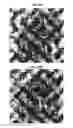 Fig. 50 - OBSCURELY RENDERING CONTENT USING MASKING TECHNIQUES