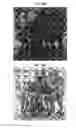 Fig. 51 - OBSCURELY RENDERING CONTENT USING MASKING TECHNIQUES