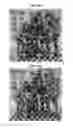 Fig. 52 - OBSCURELY RENDERING CONTENT USING MASKING TECHNIQUES