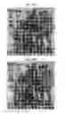 Fig. 54 - OBSCURELY RENDERING CONTENT USING MASKING TECHNIQUES