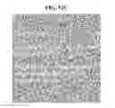 Fig. 58 - OBSCURELY RENDERING CONTENT USING MASKING TECHNIQUES