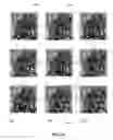 Fig. 82 - OBSCURELY RENDERING CONTENT USING MASKING TECHNIQUES