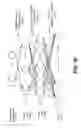 Fig. 33 - Systems and methods for obtaining structural information from a digital image