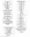 Fig. 06 - Vehicle Sharing System Supporting Nested Vehicle Sharing Within A Loan Period For A Primary Vehicle Borrower