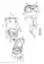 Fig. 07 - Shoulder kit assembly for crash test dummy