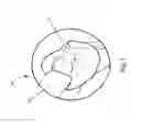 Fig. 09 - Surgical simulation models, materials, and methods