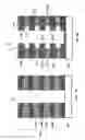 Fig. 08 - Three dimensional vertical NAND device with floating gates