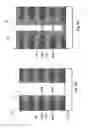 Fig. 09 - Three dimensional vertical NAND device with floating gates