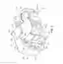 Fig. 06 - LIGHT SOURCE DEVICE AND PROJECTOR