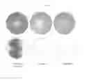 Fig. 09 - Process for producing a gallium arsenide substrate which includes marangoni drying
