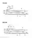Fig. 20 - Coating treatment method with airflow control, and non-transitory recording medium having program recorded thereon for executing coating treatment with airflow control