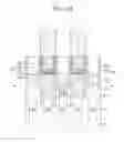 Fig. 22 - Semiconductor device with air gap and method for fabricating the same