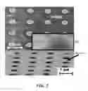 Fig. 03 - Nanoscale interconnects fabricated by electrical field directed assembly of nanoelements