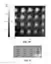 Fig. 05 - Nanoscale interconnects fabricated by electrical field directed assembly of nanoelements