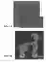 Fig. 08 - Nanoscale interconnects fabricated by electrical field directed assembly of nanoelements