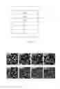 Fig. 02 - Fluorine-modification process and applications thereof