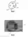 Fig. 02 - Core-shell catalyst and method for palladium-based core particle