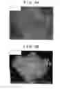Fig. 06 - Composite active material, manufacturing method for composite active material, and lithium secondary battery including composite active material