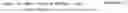 Fig. 07 - Matrix converter