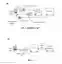 Fig. 02 - Utilizing a stapling technique with a server-based certificate validation protocol to reduce overhead for mobile communication devices