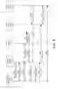 Fig. 06 - Mesh network commissioning