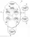 Fig. 01 - Transitioning between communication protocols between networks